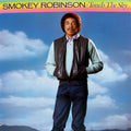 Robinson, Smokey - Touch The Sky (NM or M-) (Vinyl LP)