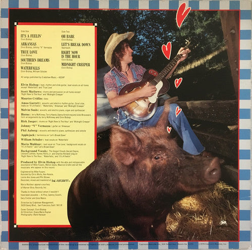 Bishop, Elvin - Hog Heaven (VG+) (Vinyl LP)