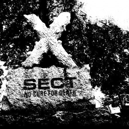 Sect - No Cure For Death (NM or M-) (Vinyl LP)