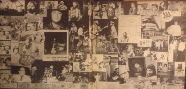 Beach Boys - 15 Big Ones (Vinyl, VG+) (Vinyl LP)
