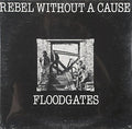 Rebel Without A Cause - Floodgates (Vinyl, VG) (Vinyl LP)