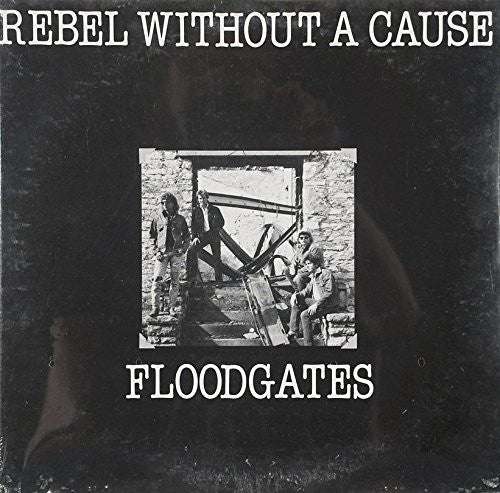 Rebel Without A Cause - Floodgates (Vinyl, VG) (Vinyl LP)