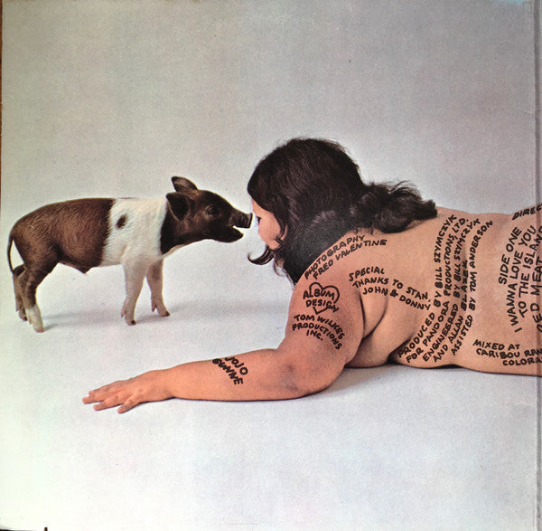 Jo Jo Gunne - Jumpin' The Gunne (VG) (Vinyl LP)