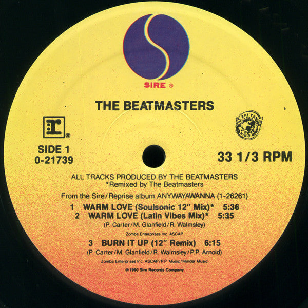 Beatmasters Featuring Claudia Fontaine - Warm Love (VG+) (Vinyl LP)