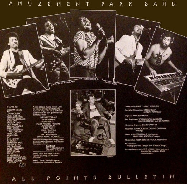 Amuzement Park Band - All Points Bulletin (VG+) (Vinyl LP)