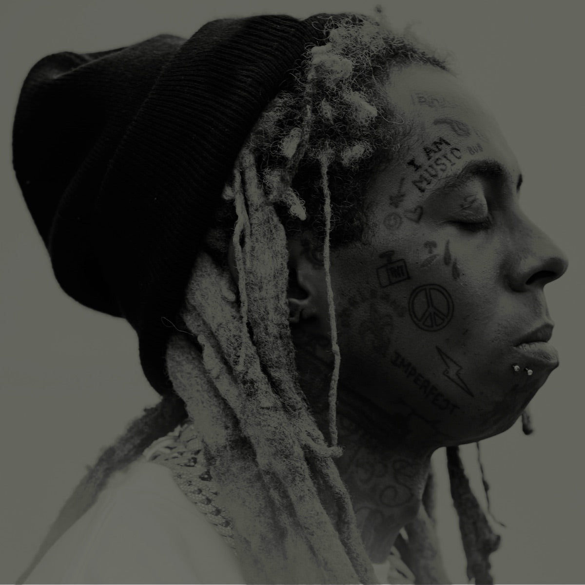 Lil Wayne - I Am Music (Vinyl LP)
