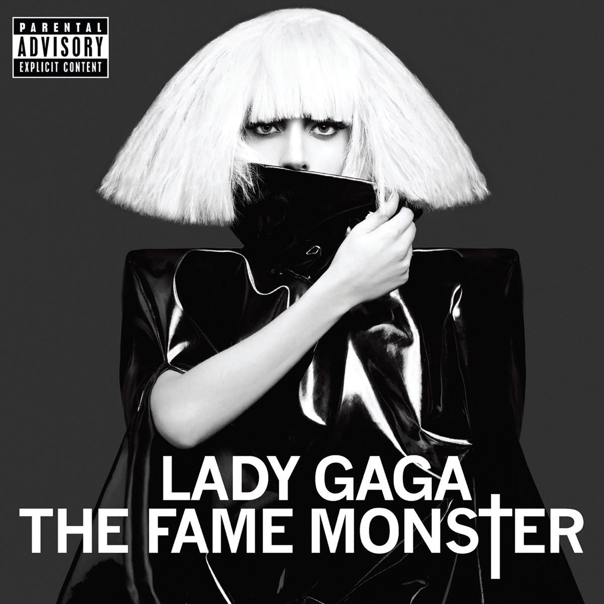 Lady Gaga - Fame Monster (Vinyl LP)