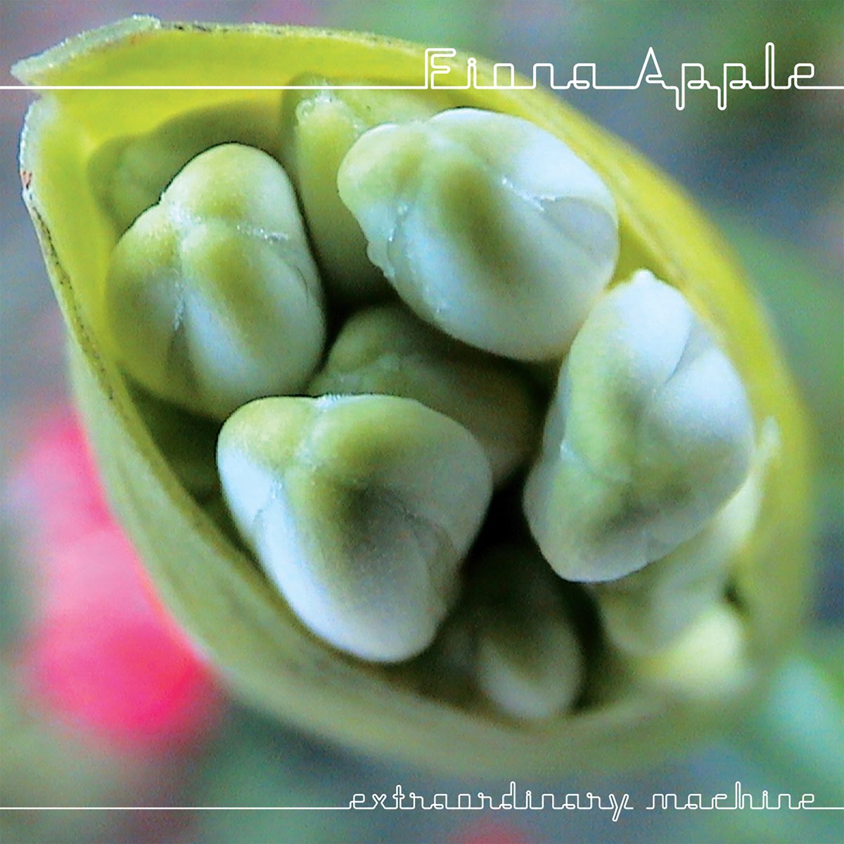 Apple, Fiona - Extraordinary Machine (Vinyl LP)