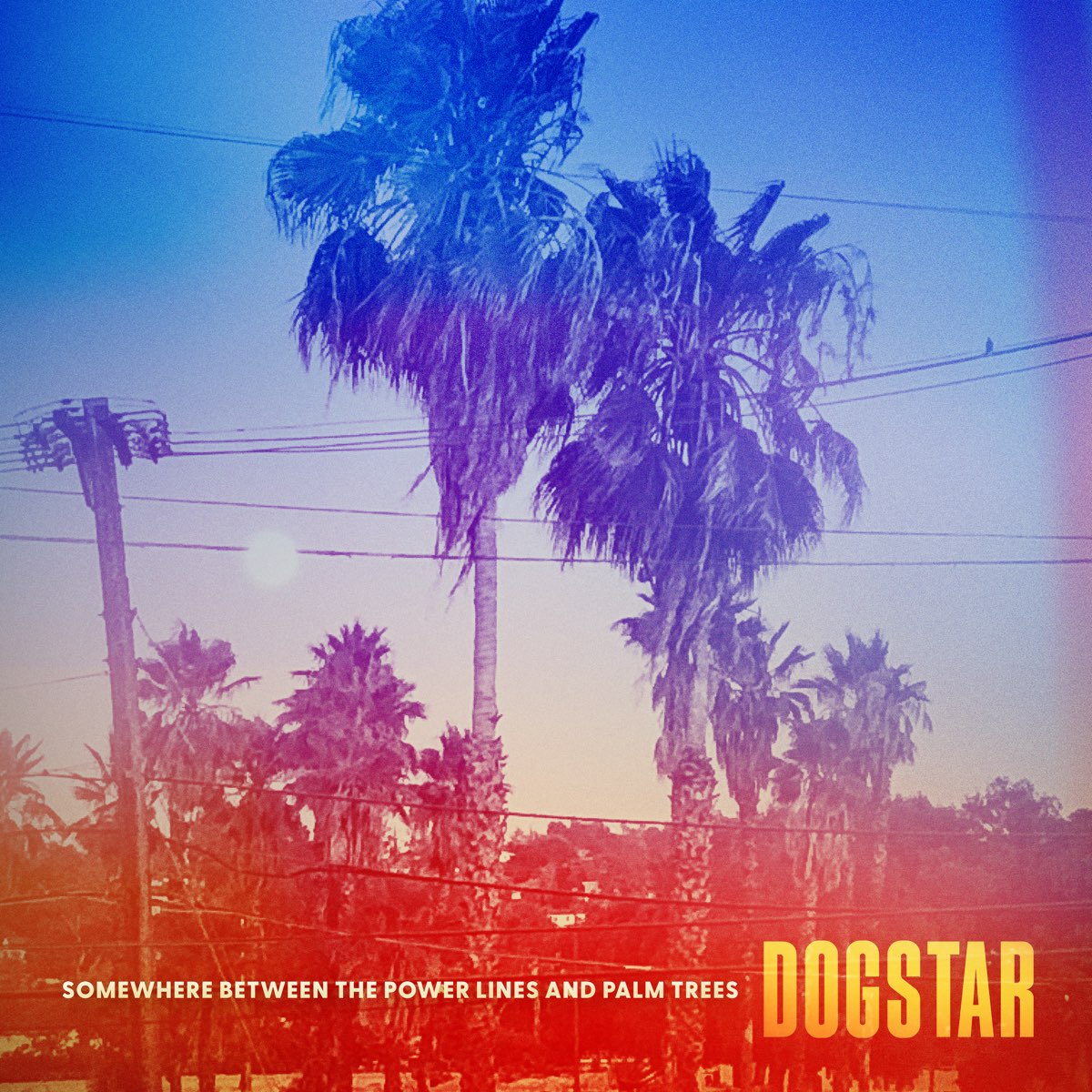 Dogstar - Somewhere Between The Power Lines & Palm Trees (Vinyl LP)
