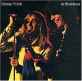 Cheap Trick - Cheap Trick At Budokan (Vinyl, VG+) (Vinyl LP)
