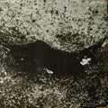 Jayle, Jaye - No Trail And Other Unholy Paths (NM or M-) (Vinyl LP)