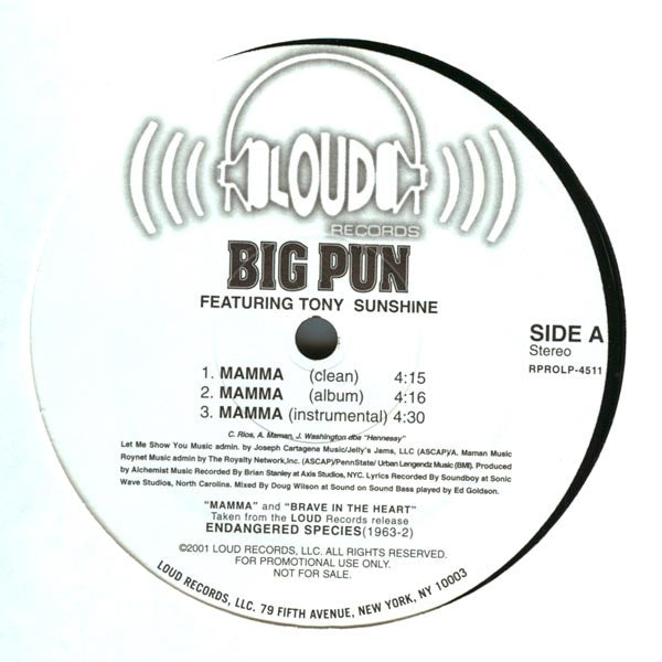 Big Pun - Mamma / Brave In The Heart (NM or M-) (Vinyl LP)