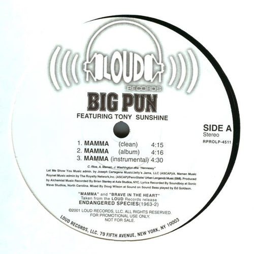 Big Pun - Mamma / Brave In The Heart (NM or M-) (Vinyl LP)