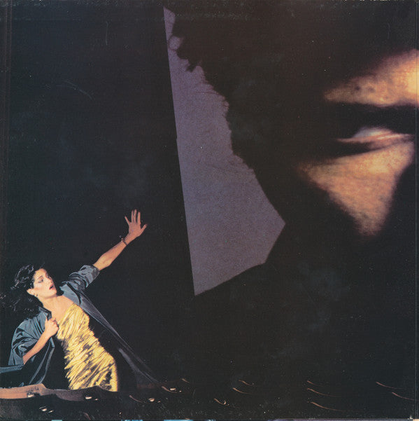 Ferry, Bryan - The Bride Stripped Bare (VG+) (Vinyl LP)