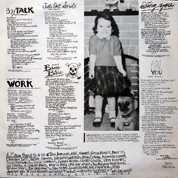 DeVito, Karla - Is This A Cool World Or What? (VG+) (Vinyl LP)