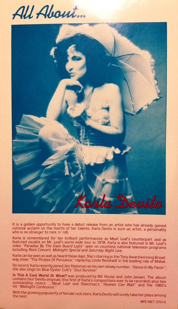 DeVito, Karla - Is This A Cool World Or What? (VG+) (Vinyl LP)