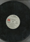 Captain & Tennille - Dream (VG+) (Vinyl LP)