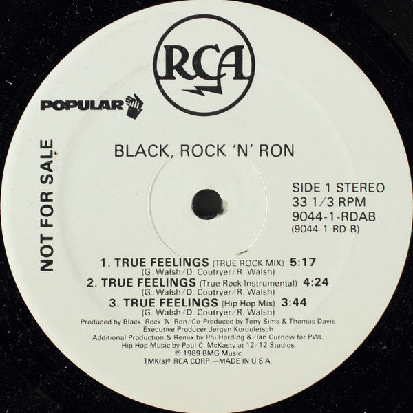 Black Rock & Ron - True Feelings (M) (Vinyl LP)