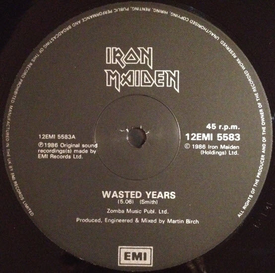 Iron Maiden - Wasted Years (Vinyl, M) (Vinyl LP)