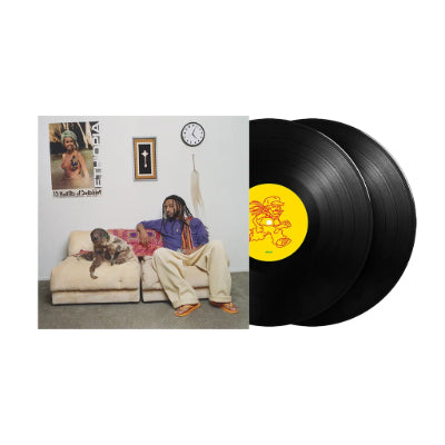 Amine - 13 Months Of Sunshine (Standard Black Gatefold 2LP Vinyl) (Vinyl LP)