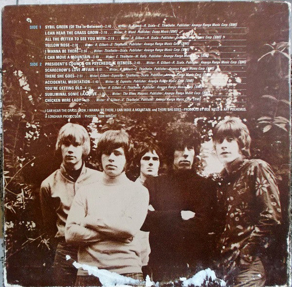 Blues Magoos - Basic Blues Magoos (G+) (Vinyl LP)