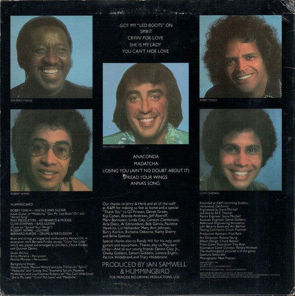 Hummingbird - Diamond Nights (VG+) (Vinyl LP)