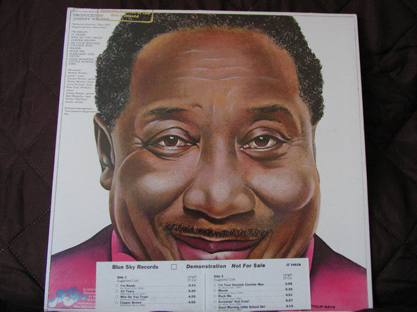Waters, Muddy - I'm Ready (Vinyl, VG+) (Vinyl LP)