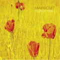 Marmoset - Florist Fired (Vinyl, VG+) (Vinyl LP)
