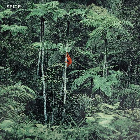Spice  - Spice (NM or M-) (Vinyl LP)