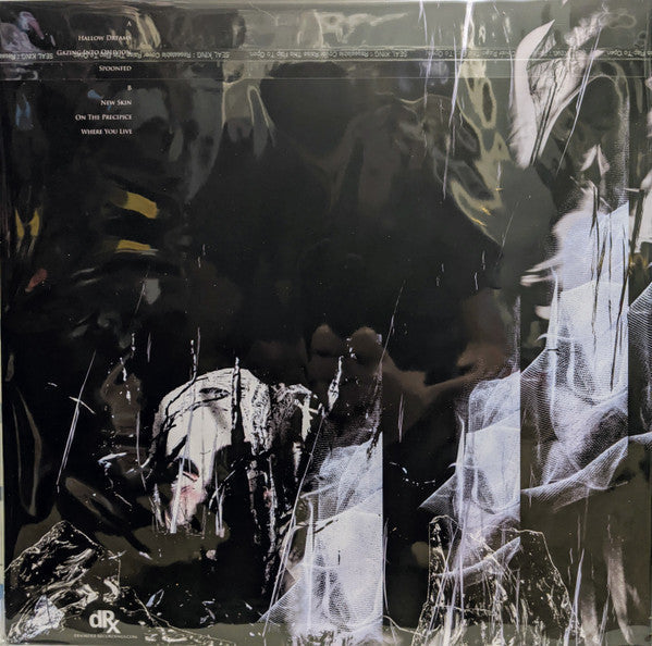 Chrome Waves - Where We Live (VG+) (Vinyl LP)