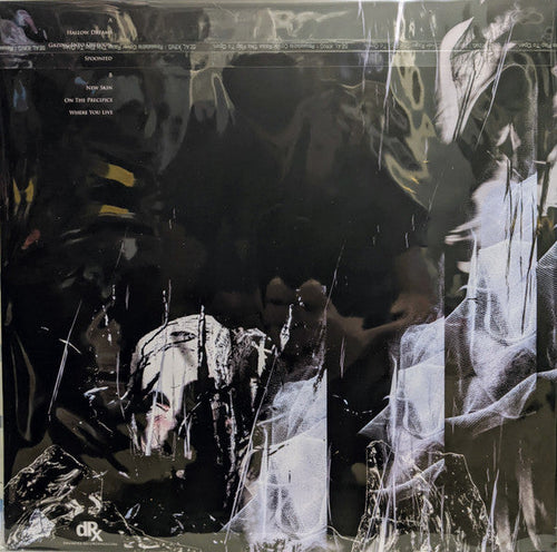Chrome Waves - Where We Live (VG+) (Vinyl LP)