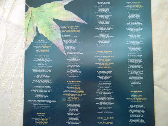 Warnes, Jennifer - The Well (Vinyl, VG+) (Vinyl LP)
