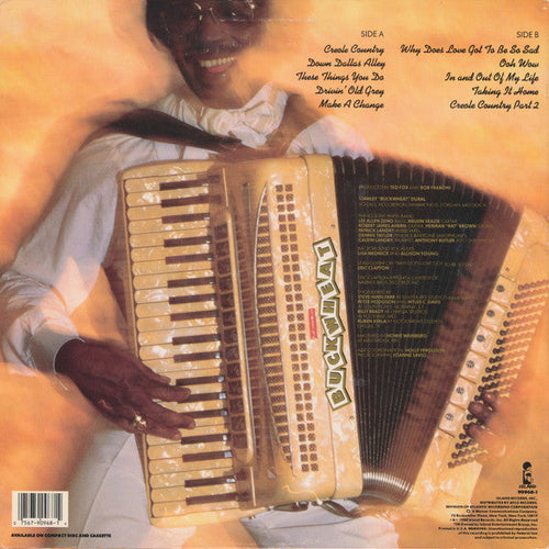 Buckwheat Zydeco - Taking It Home (Vinyl, VG+) (Vinyl LP)