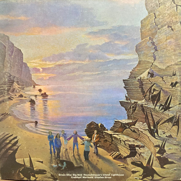 Flock - Dinosaur Swamps (VG) (Vinyl LP)