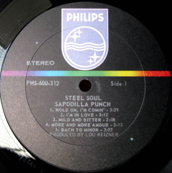 Sapodilla Punch - Steel Soul (Vinyl, VG) (Vinyl LP)