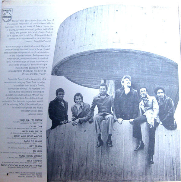 Sapodilla Punch - Steel Soul (Vinyl, VG) (Vinyl LP)