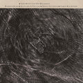 Cocteau Twins & Harold Budd - The Moon And The Melodies (Vinyl LP)