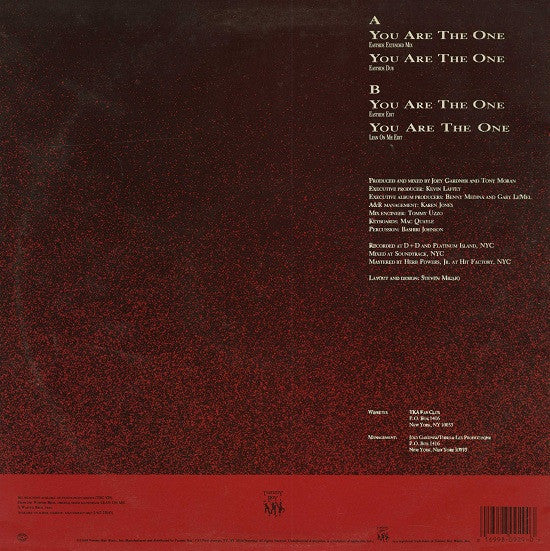 TKA - You Are The One (VG+) (Vinyl LP)