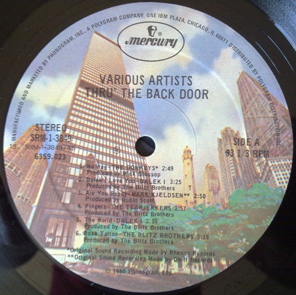 Various - Thru' The Back Door (VG+) (Vinyl LP)