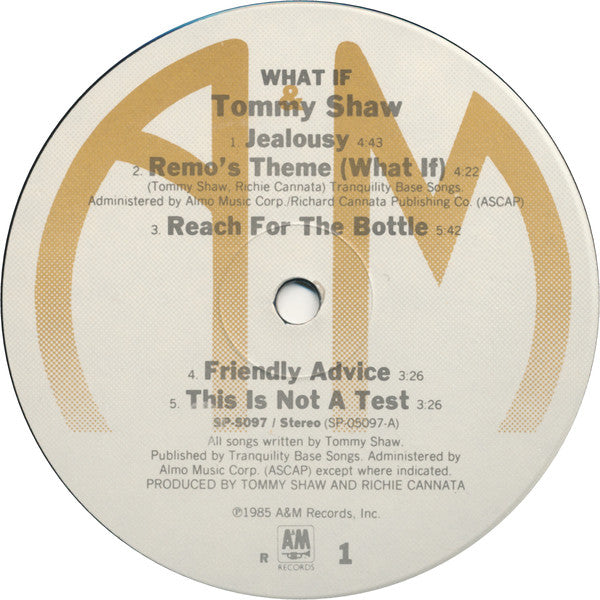Shaw, Tommy - What If (Vinyl, NM or M-) (Vinyl LP)