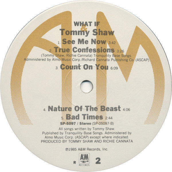 Shaw, Tommy - What If (Vinyl, NM or M-) (Vinyl LP)