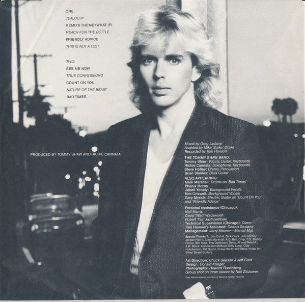 Shaw, Tommy - What If (Vinyl, NM or M-) (Vinyl LP)