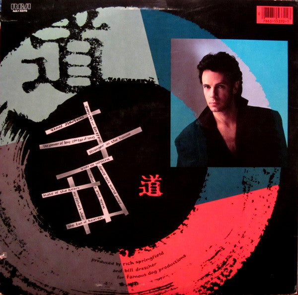 Springfield, Rick - Tao (VG) (Vinyl LP)