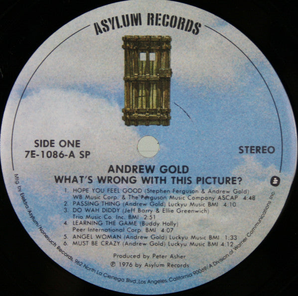 Gold, Andrew - What's Wrong With This Picture? (M) (Vinyl LP)