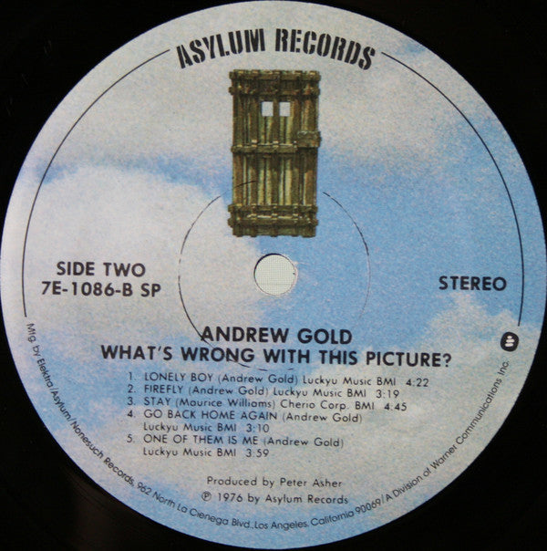 Gold, Andrew - What's Wrong With This Picture? (M) (Vinyl LP)