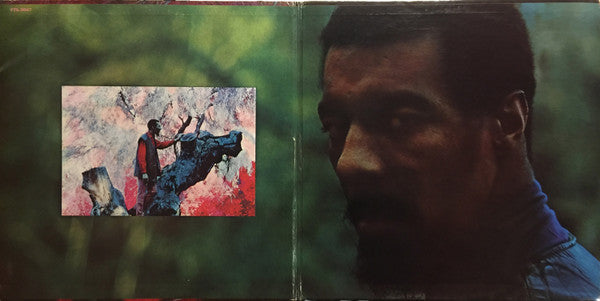 Havens, Richie - Richard P. Havens, 1983 (VG+) (Vinyl LP)