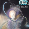 FM - Black Noise (VG+) (Vinyl LP)