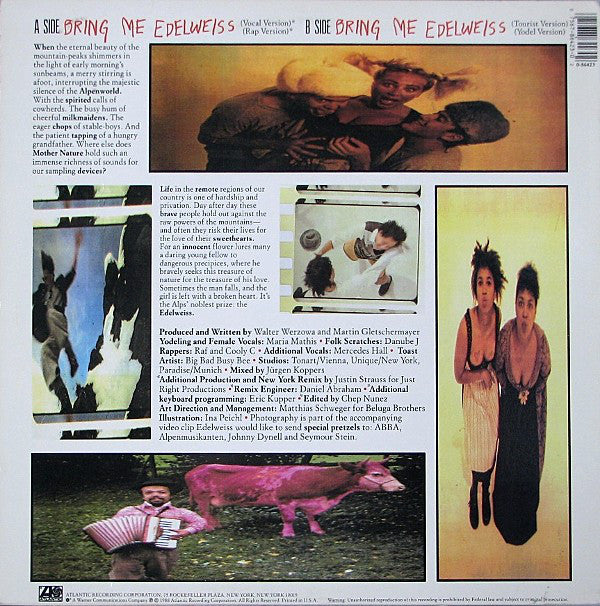 Edelweiss - Bring Me Edelweiss (VG+) (Vinyl LP)