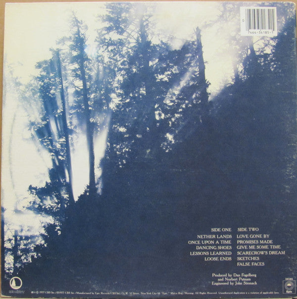 Fogelberg, Dan - Nether Lands (Vinyl, VG+) (Vinyl LP)