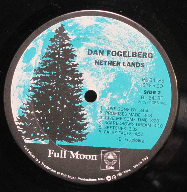 Fogelberg, Dan - Nether Lands (Vinyl, VG+) (Vinyl LP)